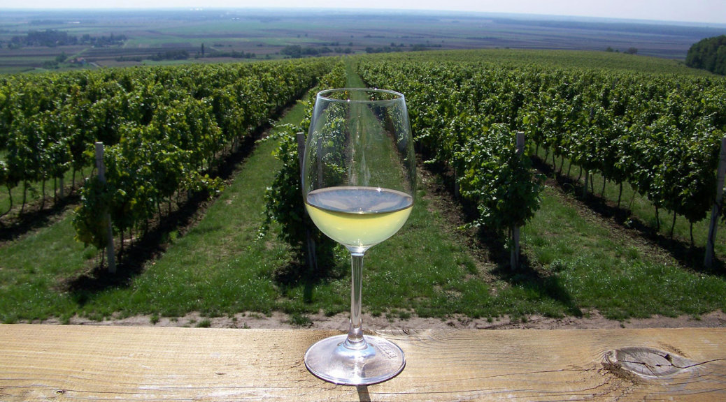 Wine in Slavonia